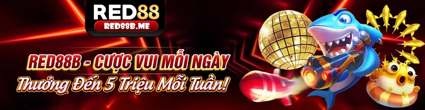 Tổng quan về NK88: Phân tích chuyên sâu các chương trình khuyến mãi mới nhất 2026